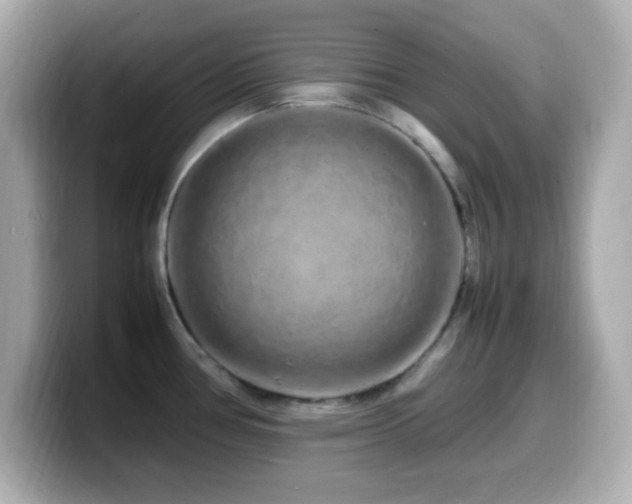 X0000099941386200805231242