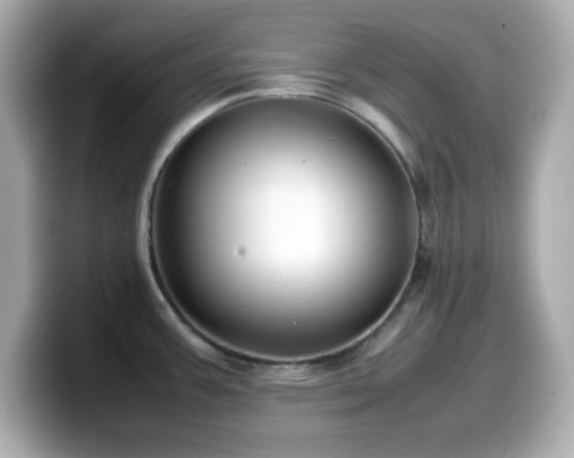 X0000099941387200805231242