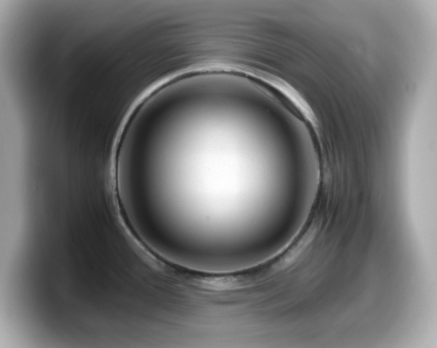 X0000099941388200805231242
