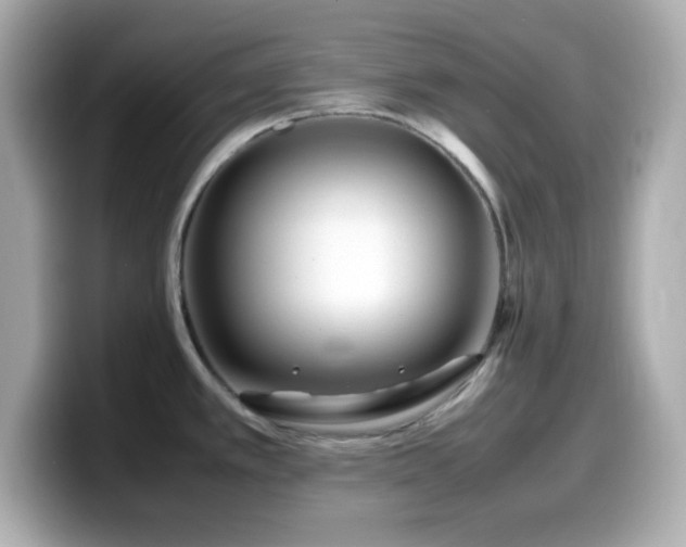 X0000099941389200805231242