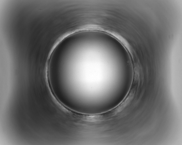 X0000099941390200805231242
