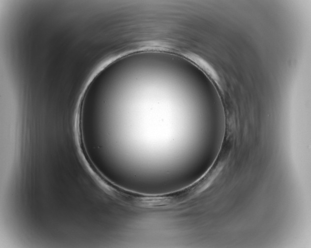 X0000099941391200805231242