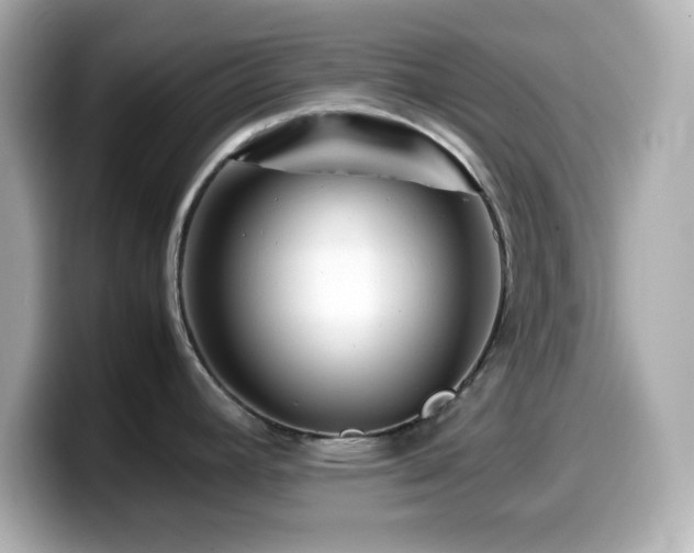 X0000099941392200805231242