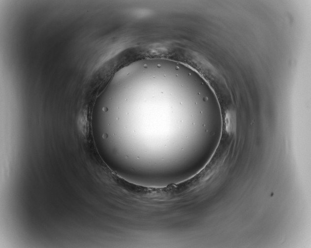 X0000099941395200805231242