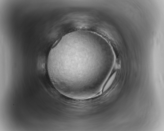X0000099941396200805231242