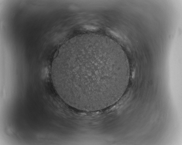 X0000099941397200805231242