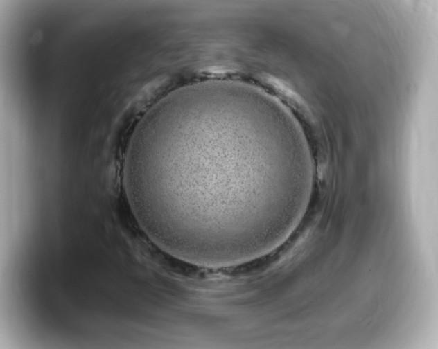 X0000099941398200805231242