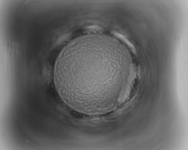 X0000099941399200805231242