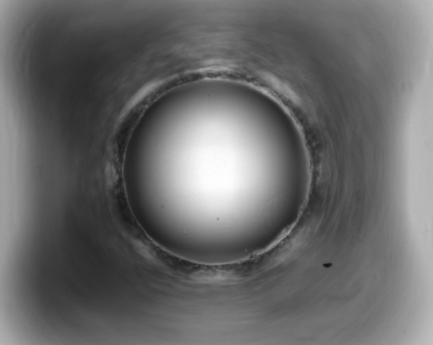 X0000099941400200805231242