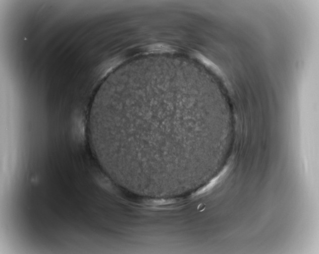 X0000099941401200805231242