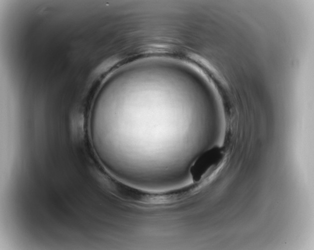 X0000099941402200805231242