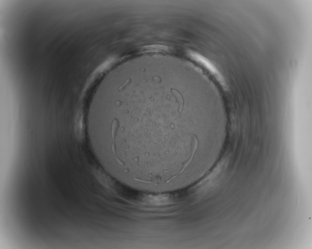 X0000099941403200805231242