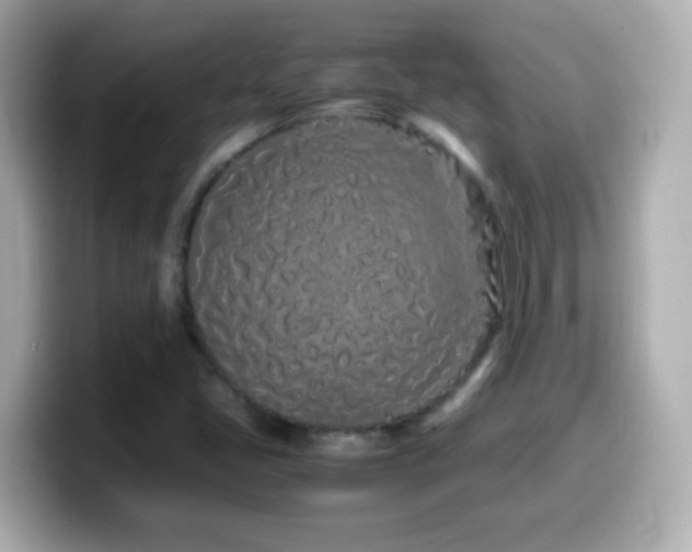 X0000099941405200805231242