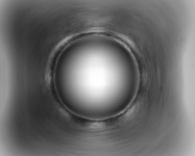 X0000099941406200805231242