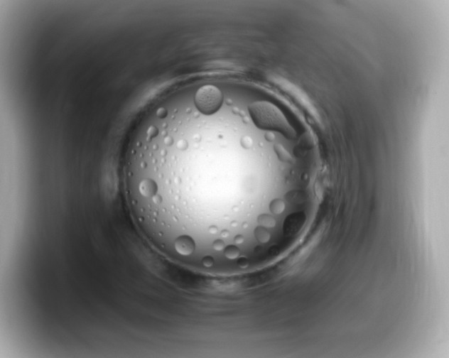 X0000099941407200805231242