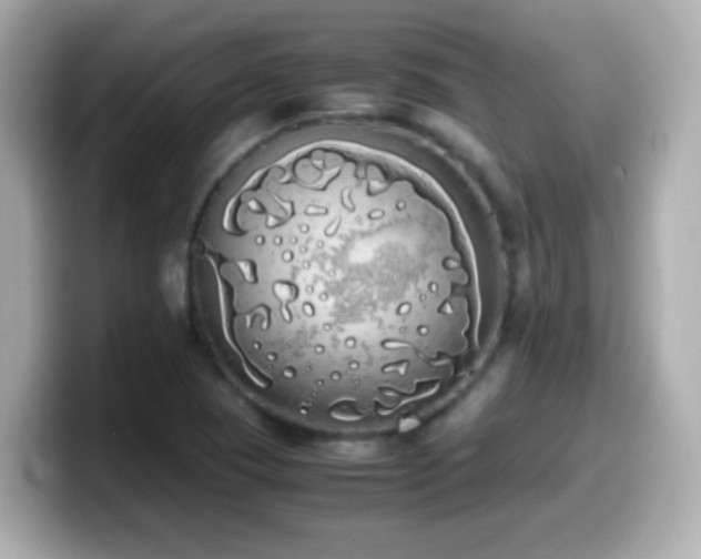 X0000099941409200805231242