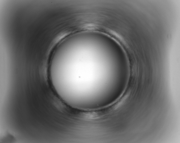 X0000099941410200805231242