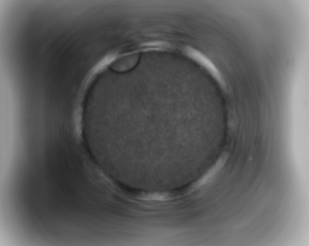 X0000099941411200805231242
