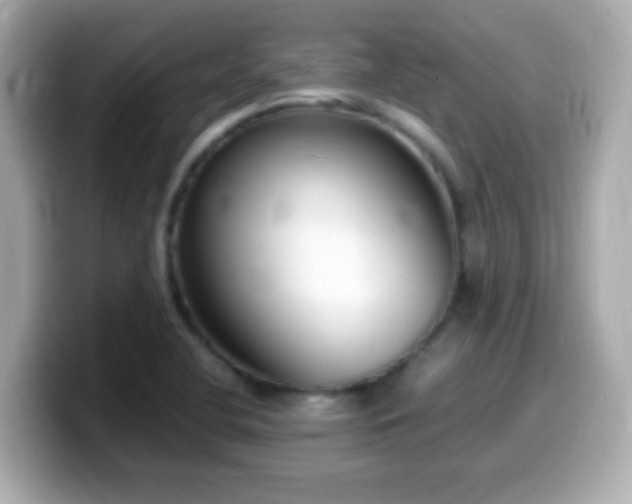 X0000099941412200805231242