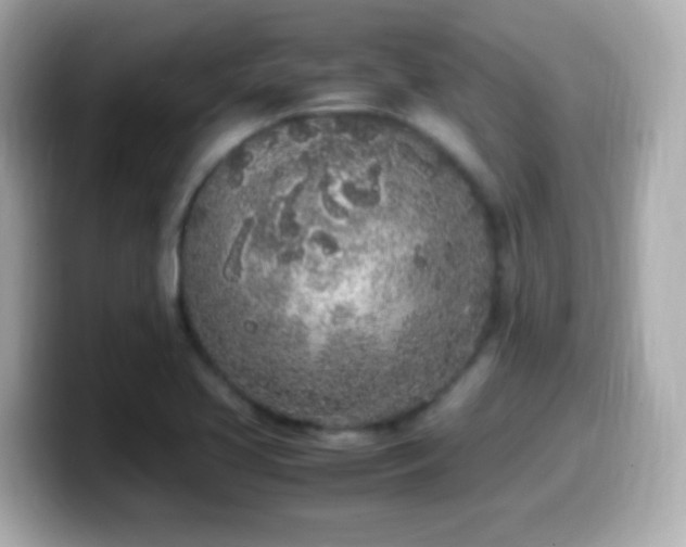 X0000099941413200805231242