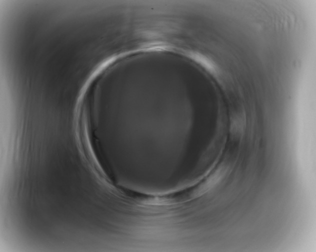 X0000099941414200805231242