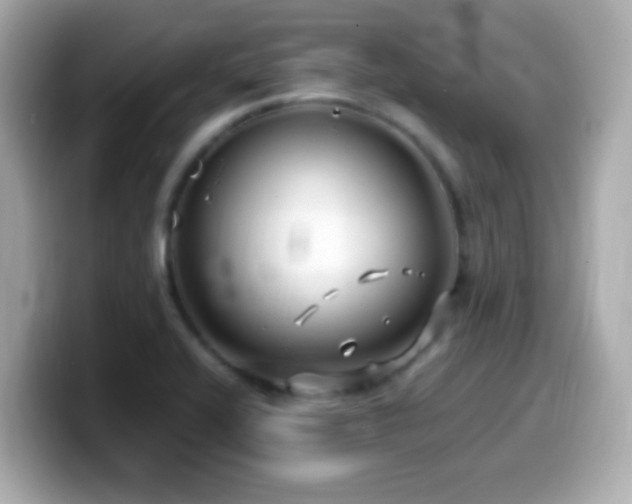 X0000099941416200805231242