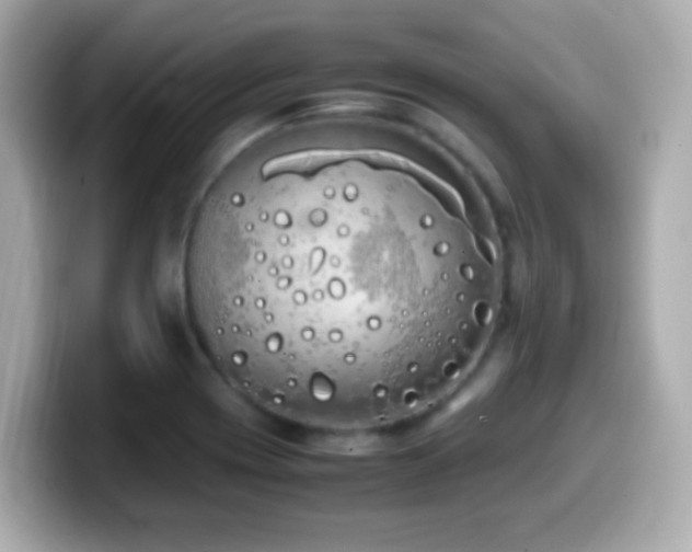 X0000099941417200805231242