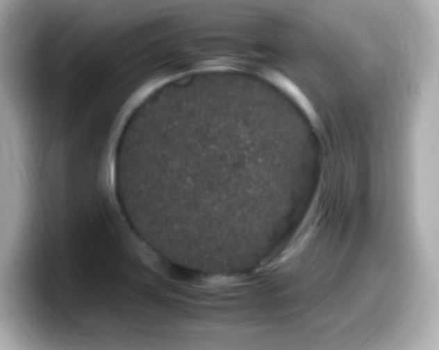 X0000099941419200805231242