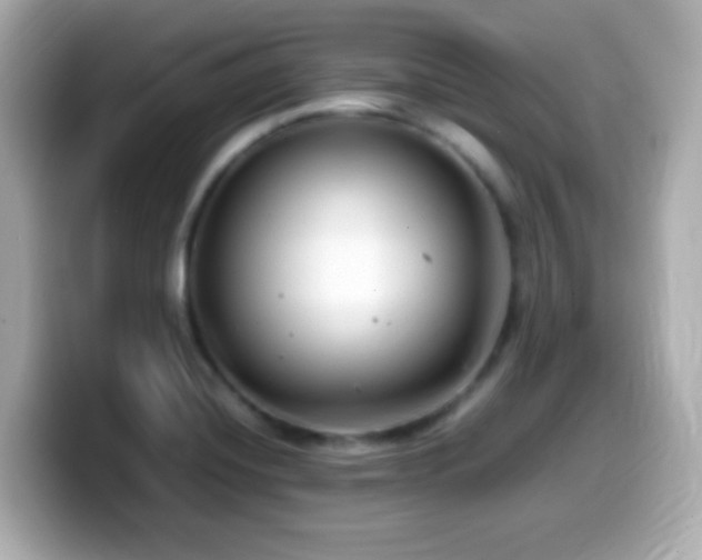 X0000099941420200805231242