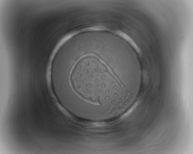 X0000099941421200805231242