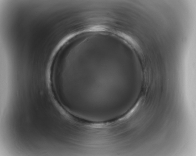 X0000099941422200805231242
