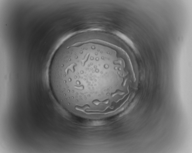 X0000099941423200805231242