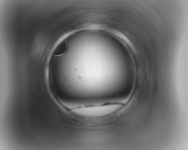 X0000099941424200805231242