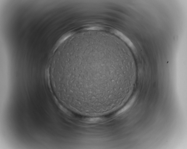 X0000099941425200805231242