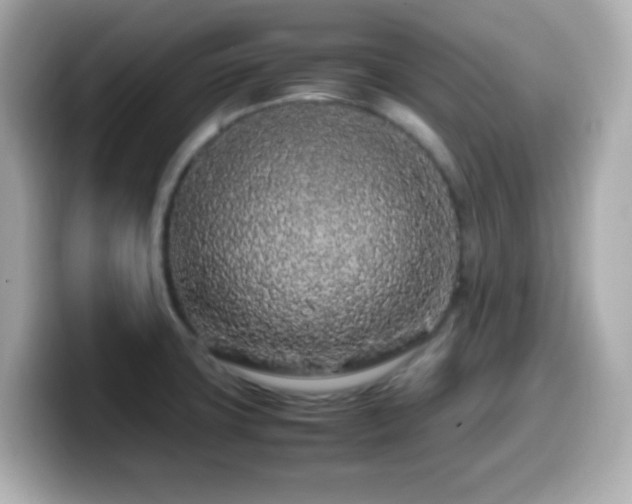 X0000099941427200805231242