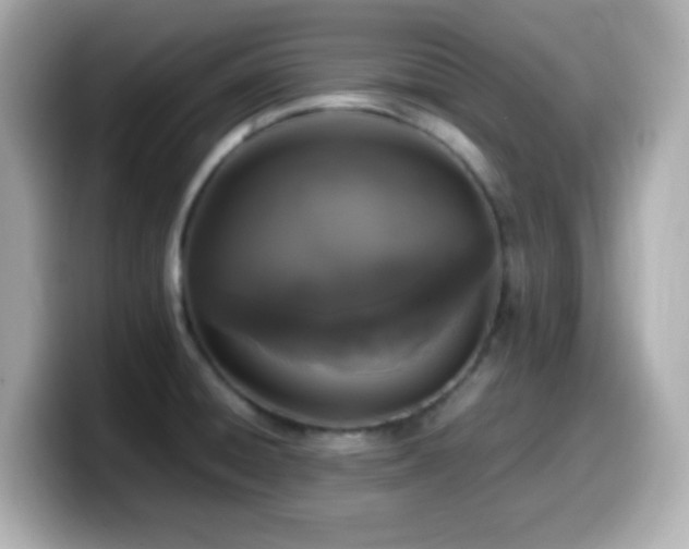 X0000099941428200805231242