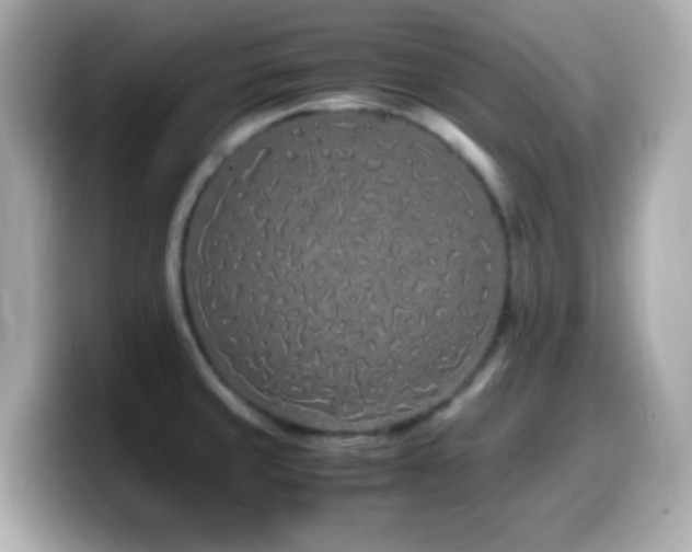 X0000099941429200805231242