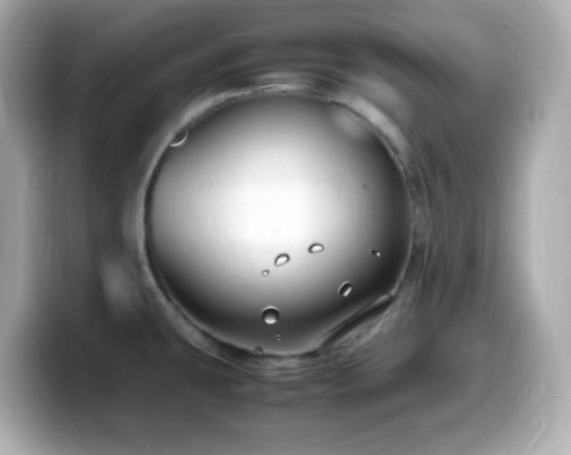X0000099941431200805231242