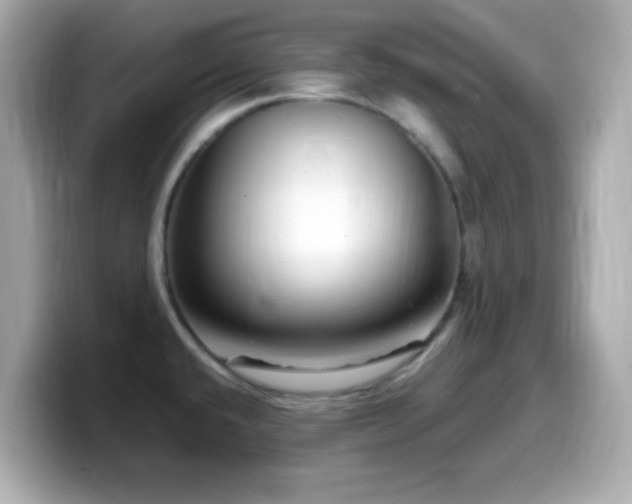 X0000099941432200805231242