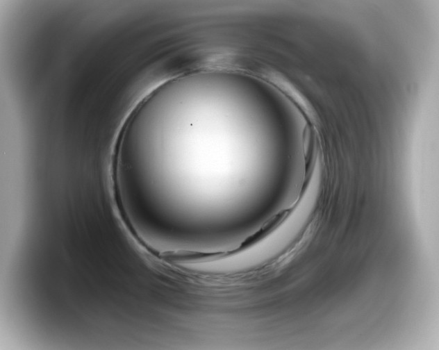 X0000099941434200805231242