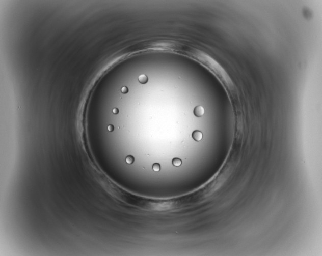 X0000099941435200805231242