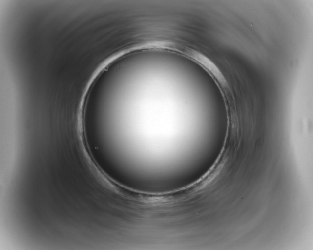 X0000099941436200805231242