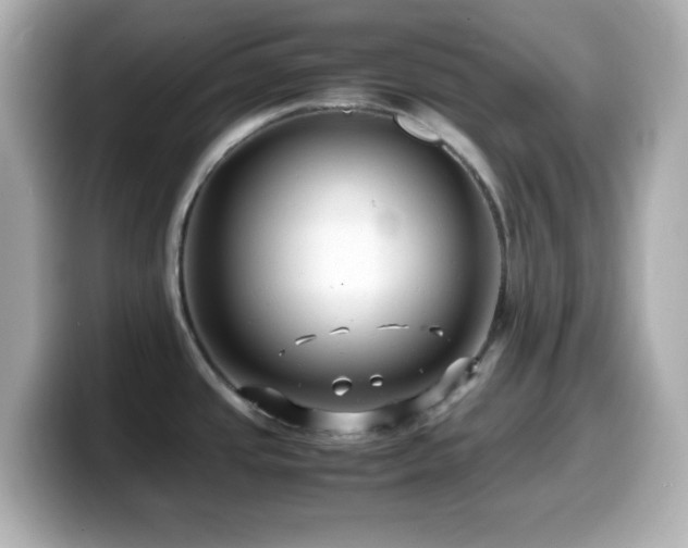 X0000099941437200805231242