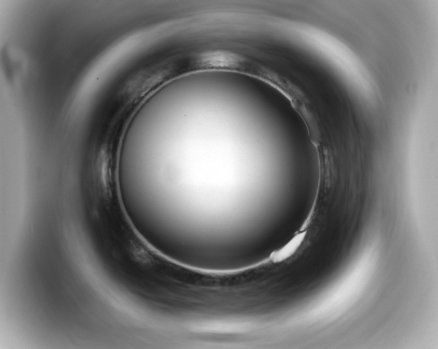 X0000099941438200805231242