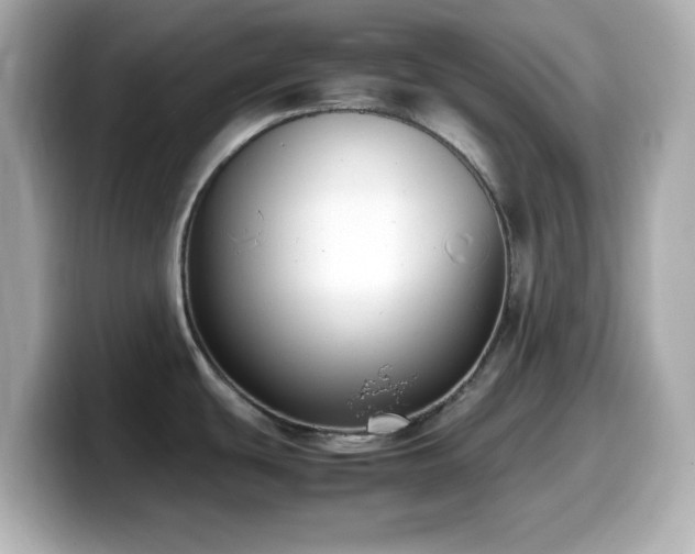 X0000099941439200805231242