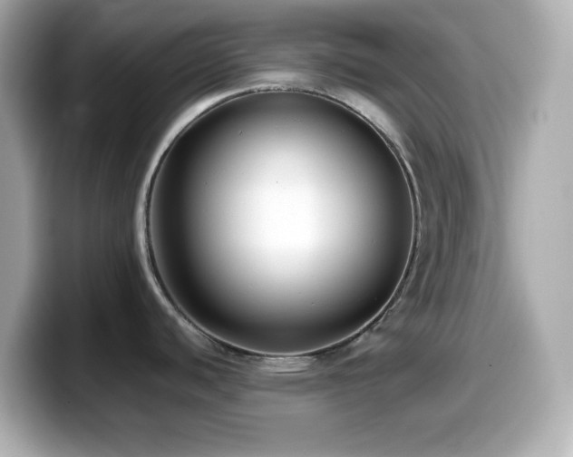 X0000099941440200805231242