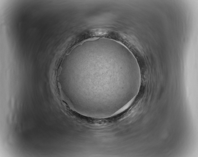 X0000099941441200805231241