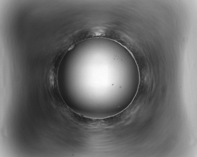 X0000099941442200805231241