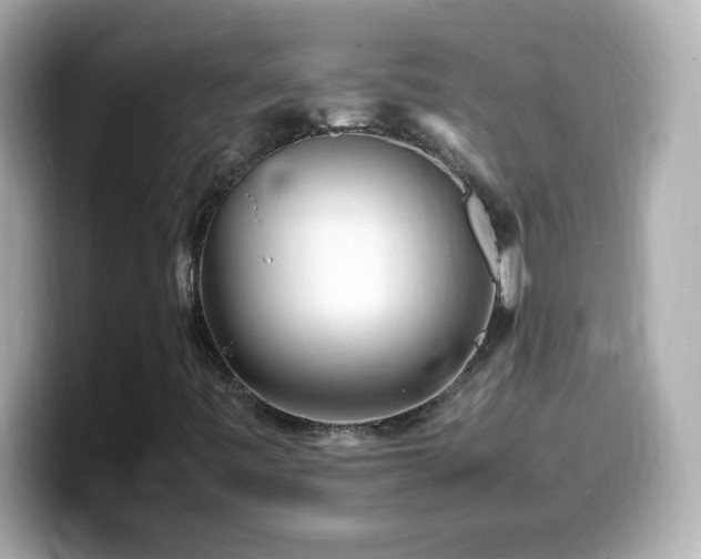 X0000099941443200805231241