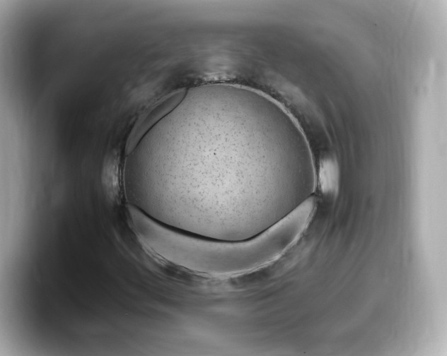 X0000099941444200805231241